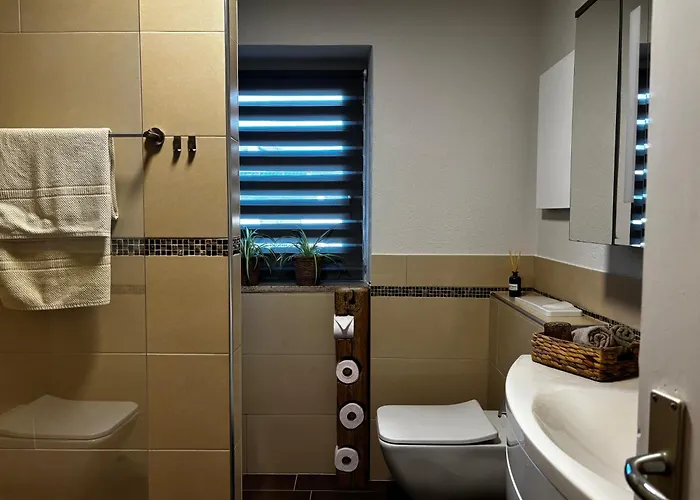 Homestay Alpen Zell Am Zell am See